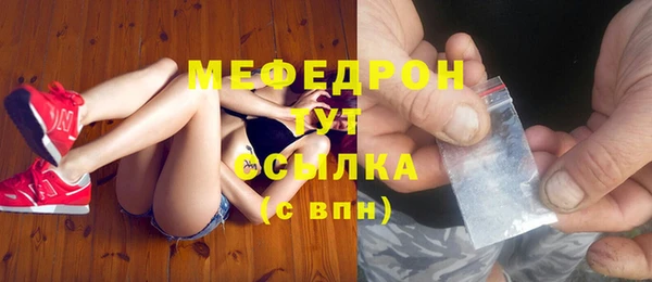 стаф Магас