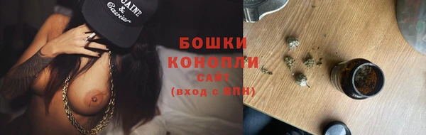 сатива Медногорск